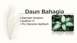 Hamdan Ibrahim
Sulthon H
Try Haryono Aprilium
 