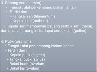 3. Benang sari (stamen)
    • Fungsi : alat perkembang biakan jantan
    • Terdiri dari :
      - Tangkai sari (filamentum)
      - Kepala sari (anthera)
  • Kepala sari mempunyai 2 ruang serbuk sari (theca),
dan di dalam ruang ini terdapat serbuk sari (pollen).

4. Putik (pistillum)
   • Fungsi : alat perkembang biakan betina
   • Terdiri dari :
     - Kepala putik (stigma)
     - Tangkai putik (stylus)
     - Bakal buah (ovarium)
     - Bakal biji (ovulum)
 