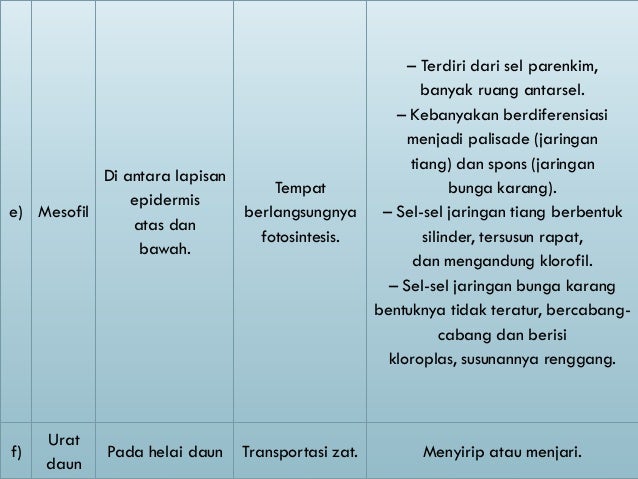 Daun Dan Bunga