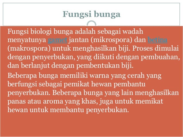 Daun Dan Bunga