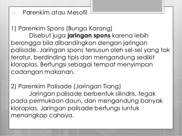 Daun dan bunga