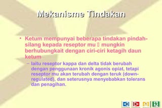 Mekanisme TindakanMekanisme Tindakan
• Ketum mempunyai beberapa tindakan pindah-
silang kepada reseptor mu  mungkin
berhubungkait dengan ciri-ciri ketagih daun
ketum
– Iaitu reseptor kappa dan delta tidak berubah
dengan penggunaan kronik agonis opiat, tetapi
reseptor mu akan terubah dengan teruk (down-
regulated), dan seterusnya menyebabkan tolerans
dan penagihan.
 