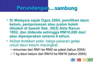 Perundangan…sambungPerundangan…sambung
• Di Malaysia sejak Ogos 2004, pemilikan daun
ketum, pemprosesan atau jualan boleh
dituduh di bawah Sek. 30(3) Akta Racun
1952, dan didenda sehingga RM10,000 dan/
atau dipenjarakan selama 4 tahun.
• Akibat tindakan polis, harga pasaran gelap
untuk daun ketum meningkat;
– minuman dari RM1 ke RM2 se paket (tahun 2004)
– 1 kg daun ketum dari RM10 ke RM16 (tahun 2004)
 