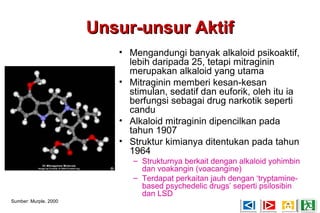 Unsur-unsur AktifUnsur-unsur Aktif
• Mengandungi banyak alkaloid psikoaktif,
lebih daripada 25, tetapi mitraginin
merupakan alkaloid yang utama
• Mitraginin memberi kesan-kesan
stimulan, sedatif dan euforik, oleh itu ia
berfungsi sebagai drug narkotik seperti
candu
• Alkaloid mitraginin dipencilkan pada
tahun 1907
• Struktur kimianya ditentukan pada tahun
1964
– Strukturnya berkait dengan alkaloid yohimbin
dan voakangin (voacangine)
– Terdapat perkaitan jauh dengan ‘tryptamine-
based psychedelic drugs’ seperti psilosibin
dan LSD
Sumber: Murple, 2000
 