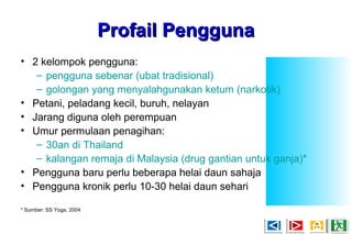 Profail PenggunaProfail Pengguna
• 2 kelompok pengguna:
– pengguna sebenar (ubat tradisional)
– golongan yang menyalahgunakan ketum (narkotik)
• Petani, peladang kecil, buruh, nelayan
• Jarang diguna oleh perempuan
• Umur permulaan penagihan:
– 30an di Thailand
– kalangan remaja di Malaysia (drug gantian untuk ganja)*
• Pengguna baru perlu beberapa helai daun sahaja
• Pengguna kronik perlu 10-30 helai daun sehari
* Sumber: SS Yoga, 2004
 