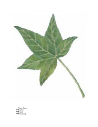 Tulang Daun :
* Menyirip
* Menjari
* Melengkung
 