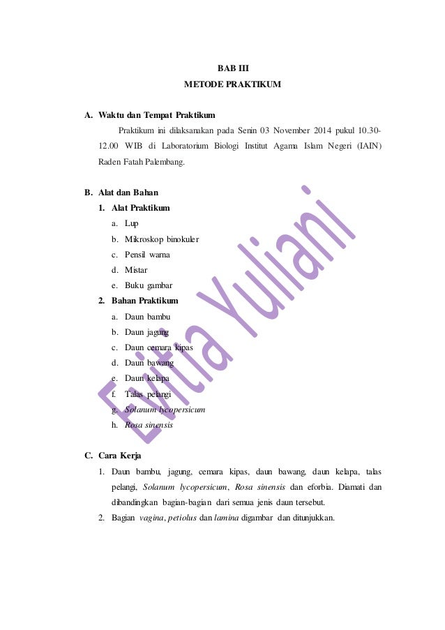 Praktikum Morfologi Tumbuhan