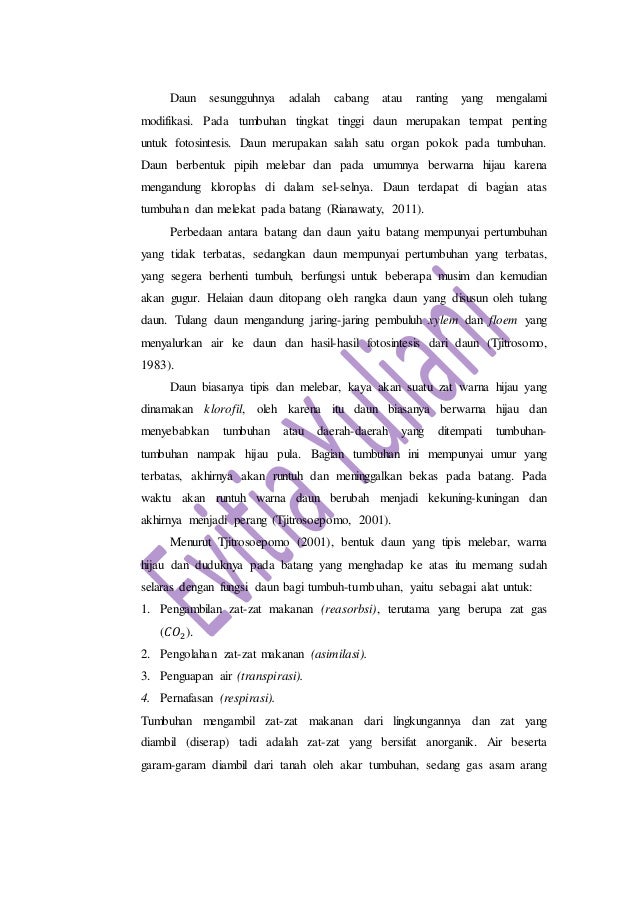  praktikum morfologi tumbuhan 