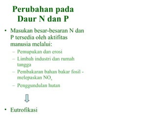 Perubahan pada Daur N dan P Masukan besar-besaran N dan P tersedia oleh aktifitas manusia melalui: Pemupukan dan erosi Limbah industri dan rumah tangga Pembakaran bahan bakar fosil - melepaskan NO x Penggundulan hutan Eutrofikasi 