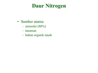 Daur Nitrogen Sumber utama : atmosfer (80%) tanaman bahan organik tanah 