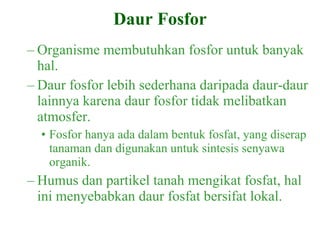 Organisme membutuhkan fosfor untuk banyak hal. Daur fosfor lebih sederhana daripada daur-daur lainnya karena daur fosfor tidak melibatkan atmosfer. Fosfor hanya ada dalam bentuk fosfat, yang diserap tanaman dan digunakan untuk sintesis senyawa organik. Humus dan partikel tanah mengikat fosfat, hal ini menyebabkan daur fosfat bersifat lokal. Daur Fosfor 