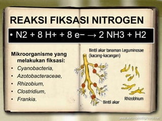 Daur biogeokimia | PPTX