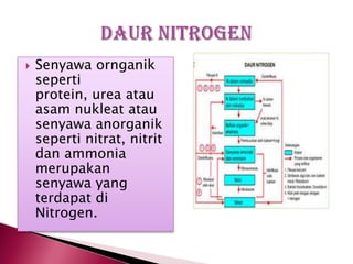 

Senyawa ornganik
seperti
protein, urea atau
asam nukleat atau
senyawa anorganik
seperti nitrat, nitrit
dan ammonia
merupakan
senyawa yang
terdapat di
Nitrogen.

 