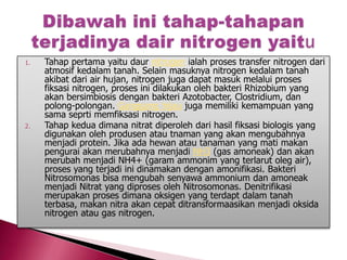1.

2.

Tahap pertama yaitu daur nitrogen ialah proses transfer nitrogen dari
atmosif kedalam tanah. Selain masuknya nitrogen kedalam tanah
akibat dari air hujan, nitrogen juga dapat masuk melalui proses
fiksasi nitrogen, proses ini dilakukan oleh bakteri Rhizobium yang
akan bersimbiosis dengan bakteri Azotobacter, Clostridium, dan
polong-polongan. Ganggang hijau juga memiliki kemampuan yang
sama seprti memfiksasi nitrogen.
Tahap kedua dimana nitrat diperoleh dari hasil fiksasi biologis yang
digunakan oleh produsen atau tnaman yang akan mengubahnya
menjadi protein. Jika ada hewan atau tanaman yang mati makan
pengurai akan merubahnya menjadi NH3 (gas amoneak) dan akan
merubah menjadi NH4+ (garam ammonim yang terlarut oleg air),
proses yang terjadi ini dinamakan dengan amonifikasi. Bakteri
Nitrosomonas bisa mengubah senyawa ammonium dan amoneak
menjadi Nitrat yang diproses oleh Nitrosomonas. Denitrifikasi
merupakan proses dimana oksigen yang terdapt dalam tanah
terbasa, makan nitra akan cepat ditransformaasikan menjadi oksida
nitrogen atau gas nitrogen.

 