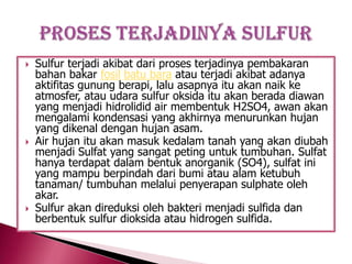 





Sulfur terjadi akibat dari proses terjadinya pembakaran
bahan bakar fosil batu bara atau terjadi akibat adanya
aktifitas gunung berapi, lalu asapnya itu akan naik ke
atmosfer, atau udara sulfur oksida itu akan berada diawan
yang menjadi hidrolidid air membentuk H2SO4, awan akan
mengalami kondensasi yang akhirnya menurunkan hujan
yang dikenal dengan hujan asam.
Air hujan itu akan masuk kedalam tanah yang akan diubah
menjadi Sulfat yang sangat peting untuk tumbuhan. Sulfat
hanya terdapat dalam bentuk anorganik (SO4), sulfat ini
yang mampu berpindah dari bumi atau alam ketubuh
tanaman/ tumbuhan melalui penyerapan sulphate oleh
akar.
Sulfur akan direduksi oleh bakteri menjadi sulfida dan
berbentuk sulfur dioksida atau hidrogen sulfida.

 