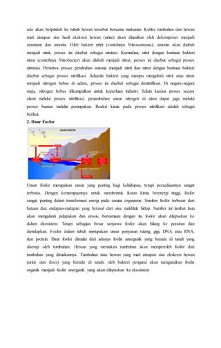 ada akan berpindah ke tubuh hewan tersebut bersama makanan. Ketika tumbuhan dan hewan
mati ataupun sisa hasil ekskresi hewan (urine) akan diuraikan oleh dekomposer menjadi
amonium dan amonia. Oleh bakteri nitrit (contohnya Nitrosomonas), amonia akan diubah
menjadi nitrit, proses ini disebut sebagai nitritasi. Kemudian, nitrit dengan bantuan bakteri
nitrat (contohnya Nitrobacter) akan diubah menjadi nitrat, proses ini disebut sebagai proses
nitratasi. Peristiwa proses perubahan amonia menjadi nitrit dan nitrat dengan bantuan bakteri
disebut sebagai proses nitrifikasi. Adapula bakteri yang mampu mengubah nitrit atau nitrat
menjadi nitrogen bebas di udara, proses ini disebut sebagai denitrifikasi. Di negara-negara
maju, nitrogen bebas dikumpulkan untuk keperluan industri. Selain karena proses secara
alami melalui proses nitrifikasi, penambahan unsur nitrogen di alam dapat juga melalui
proses buatan melalui pemupukan. Reaksi kimia pada proses nitrifikasi adalah sebagai
berikut.
2. Daur Fosfor
Unsur fosfor merupakan unsur yang penting bagi kehidupan, tetapi persediaannya sangat
terbatas. Dengan kemampuannya untuk membentuk ikatan kimia berenergi tinggi, fosfor
sangat penting dalam transformasi energi pada semua organisme. Sumber fosfor terbesar dari
batuan dan endapan-endapan yang berasal dari sisa makhluk hidup. Sumber ini lambat laun
akan mengalami pelapukan dan erosis, bersamaan dengan itu fosfor akan dilepaskan ke
dalam ekosistem. Tetapi sebagian besar senyawa fosfor akan hilang ke perairan dan
diendapkan. Fosfor dalam tubuh merupakan unsur penyusun tulang, gigi, DNA atau RNA,
dan protein. Daur fosfor dimulai dari adanya fosfat anorganik yang berada di tanah yang
diserap oleh tumbuhan. Hewan yang memakan tumbuhan akan memperoleh fosfor dari
tumbuhan yang dimakannya. Tumbuhan atau hewan yang mati ataupun sisa ekskresi hewan
(urine dan feses) yang berada di tanah, oleh bakteri pengurai akan menguraikan fosfat
organik menjadi fosfat anorganik yang akan dilepaskan ke ekosistem.
 