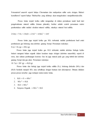 Fotoautotrof anaerob seperti halnya Chromatium dan melepaskan sulfur serta oksigen. Bakteri 
kemolitotrof seperti halnya Thiobacillus yang akhirnya akan mengoksidasi menjadibentuksulfat. 
Proses kimia terjadi ketika sulfat mengendap di dalam permukaan tanah hasil dari 
pengoksidasian mineral sulfida (batuan plutonik), berikut adalah contoh persamaan reaksi 
pembentukan sulfat melalui oksidasi mineral sulfida, misalnya mineral besi sulfida. 
Daur Sulfur (Belerang) 10 
2 FeS2 + 7 O2 + 2 H2O → 2 Fe2+ + 4 SO4 
2− + 4 H+ 
Proses kimia juga terjadi ketika gas SO2 terbentuk melalui pembakaran hasil emisi 
pembakaran gas belerang atau aktivitas gunung berapi. Persamaan reaksinya: 
S (s) + O2 (g) → SO2 (g) 
Proses kimia juga terjadi ketika gas H2S terbentuk melalui aktivitas biologis ketika 
bakteri mengurai bahan organik dalam keadaan tanpa oksigen (aktivitas anaerobik), seperti di 
rawa, dan saluran pembuangan kotoran. Gas ini juga muncul pada gas yang timbul dari aktivitas 
gunung berapi dan gas alam. Persamaan reaksinya: 
1S -2(s) + 2H+ (g) → H2S (g) 
Proses kimia dan biologi juga terjadi ketika sulfida (S2), belerang dioksida (SO2) dan 
(H2S) berubah menjadi SO4 atau sebaliknya dengan bantuan dari dekomposer. Dimana didalam 
proses-proses tersebut juga terdapat reaksi-reaksi kimia. 
1. H2S → S → SO4 
-2 
2. SO4 
-2 → H2S 
3. H2S → SO4 
-2 
4. Senyawa Organik → SO4 
-2 + H2S 
 