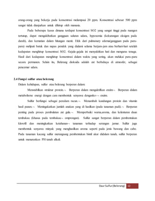 orang-orang yang bekerja pada konsentrasi melampaui 20 ppm. Konsentrasi sebesar 500 ppm 
sangat tidak dianjurkan untuk dihirup oleh manusia. 
Pada beberapa kasus dimana terdapat konsentrasi SO2 yang sangat tinggi pada ruangan 
tertutup, dapat mengakibatkan gangguan saluran udara, hypoxemia (kekurangan oksigen pada 
darah), dan kematian dalam hitungan menit. Efek dari pulmonary edema(gangguan pada paru-paru) 
meliputi batuk dan napas pendek yang dialami selama berjam-jam atau berhari-hari setelah 
kedapatan menghirup konsentrasi SO2. Gejala-gejala ini menyakitkan hati dan menguras tenaga. 
Hasil dari kedapatan menghirup konsentrasi dalam waktu yang sering, akan melukai paru-paru 
secara permanen. Selain itu, Belerang dioksida adalah zat berbahaya di atmosfer, sebagai 
pencemar udara. 
Daur Sulfur (Belerang) 12 
2.4 Fungsi sulfur atau belerang 
Dalam kehidupan, sulfur atau belerang berperan dalam: 
Menstabilkan struktur protein. Berperan dalam mengaktifkan enzim Berperan dalam 
metabolisme energi dengan cara membentuk senyawa denganko- enzim. 
Sulfur berfungsi sebagai peredam racun. Menambah kandungan protein dan vitamin 
hasil panen. Meningakatkan jumlah anakan yang di hasilkan (pada tanaman padi). Berperan 
penting pada proses pembulatan zat gula. Memperbaiki warna,aroma, dan kelenturan daun 
tembakau (khusus pada tembakau omprongan). Sulfur sangat berperan dalam pembentukan 
klorofil dan meningkatkan ketahanan tanaman terhadap serangan jamur. Sulfur juga 
membentuk senyawa minyak yang menghasilkan aroma seperti pada jenis bawang dan cabe. 
Pada tanaman kacang sulfur merangsang pembentukan bintil akar didalam tanah, sulfur berperan 
untuk menurunkan PH tanah alkali. 
 