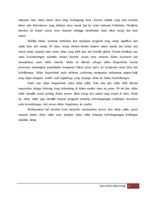 makanan mati, aliran materi akan tetap berlangsung terus. Karena mahluk yang mati tersebut 
diurai oleh dekomposer yang akhirnya akan masuk lagi ke rantai makanan berikutnya. Demikian 
interaksi ini terjadi secara terus menerus sehingga membentuk suatu aliran energi dan daur 
materi. 
Mahluk hidup, terutama tumbuhan ikut mendapat pengaruh yang cukup signifikan dari 
suplai hara dan energi. Di alam, semua elemen-elemen kimiawi dapat masuk dan keluar dari 
sistem untuk menjadi mata rantai siklus yang lebih luas dan bersifat global. Namun demikian ada 
suatu kecenderungan sejumlah elemen beredar secara terus menerus dalam ekosistem dan 
menciptakan suatu siklus internal. Siklus ini dikenal sebagai siklus biogeokimia karena 
prosesnya menyangkut perpindahan komponen bukan jasad (geo), ke komponen jasad (bio) dan 
kebalikannya. Siklus biogeokimia pada akhirnya cenderung mempunyai mekanisme umpan-balik 
yang dapat mengatur sendiri (self regulating) yang menjaga siklus itu dalam keseimbangan. 
Salah satu siklus biogeokimia yakni siklus sulfur. Kita tahu jika sulfur lebih dikenal 
masyarakat dengan belerang yang terkandung di dalam sumber mata air panas. Di sisi lain, siklus 
sulfur memiliki peran penting dalam proses aliran energi dan materi yang terjadi di alam. Selain 
itu, siklus sulfur juga memiliki banyak pengaruh terhadap keberlangsungan kehidupan ekosistem 
serta keseimbangan dari proses siklus biogekimia itu sendiri. 
Berdasarakan hal tersebut kami mencoba memaparkan proses dari siklus sulfur, peran 
manusia dalam siklus sulfur serta dampak siklus sulfur terhadap keberlangsungan kehidupan 
makhluk hidup. 
Daur Sulfur (Belerang) 5 
 