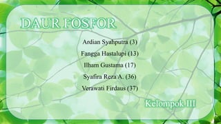 DAUR FOSFOR
Ardian Syahputra (3)
Fangga Hastalupi (13)
Ilham Gustama (17)
Syafira Reza A. (36)
Verawati Firdaus (37)
Kelompok III
 