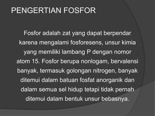 PENGERTIAN FOSFOR
Fosfor adalah zat yang dapat berpendar
karena mengalami fosforesens, unsur kimia
yang memiliki lambang P dengan nomor
atom 15. Fosfor berupa nonlogam, bervalensi
banyak, termasuk golongan nitrogen, banyak
ditemui dalam batuan fosfat anorganik dan
dalam semua sel hidup tetapi tidak pernah
ditemui dalam bentuk unsur bebasnya.
 