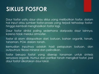 SIKLUS FOSFOR
Daur fosfor yaitu daur atau siklus yang melibatkan fosfor, dalam
hal input atau sumber fosfor-proses yang terjadi terhadap fosfor-
hingga kembali menghasilkan fosfor lagi.
Daur fosfor dinilai paling sederhana daripada daur lainnya,
karena tidak melalui atmosfer.
fosfor di alam didapatkan dari: batuan, bahan organik, tanah,
tanaman, PO4- dalam tanah.
kemudian inputnya adalah hasil pelapukan batuan. dan
outputnya: fiksasi mineral dan pelindikan.
fosfor berupa fosfat yang diserap tanaman untuk sintesis
senyawa organik. Humus dan partikel tanah mengikat fosfat, jadi
daur fosfat dikatakan daur lokal.
 