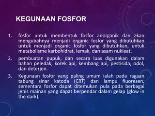 KEGUNAAN FOSFOR
1. fosfor untuk membentuk fosfor anorganik dan akan
mengubahnya menjadi organic fosfor yang dibutuhkan
untuk menjadi organic fosfor yang dibutuhkan, untuk
metabolisme karbohidrat, lemak, dan asam nukleat.
2. pembuatan pupuk, dan secara luas digunakan dalam
bahan peledak, korek api, kembang api, pestisida, odol,
dan deterjen.
3. Kegunaan fosfor yang paling umum ialah pada ragaan
tabung sinar katoda (CRT) dan lampu fluoresen,
sementara fosfor dapat ditemukan pula pada berbagai
jenis mainan yang dapat berpendar dalam gelap (glow in
the dark).
 