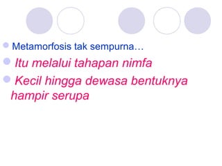 Metamorfosis tak sempurna…

Itu melalui tahapan nimfa
Kecil hingga dewasa bentuknya
hampir serupa

 