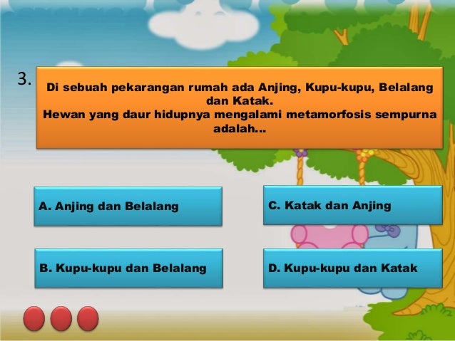 550+ Gambar Daur Hidup Hewan Anjing Terbaru