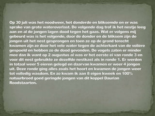 Daurian roodstaart powerpoint