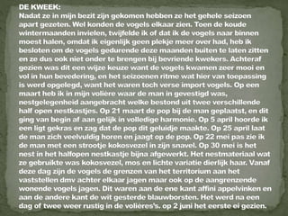 Daurian roodstaart powerpoint