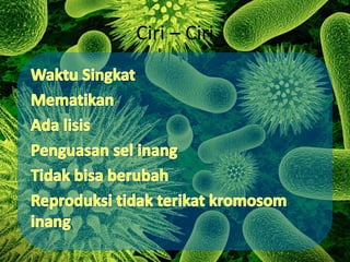 Ciri – Ciri 
