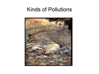 Kinds of Pollutions
 
