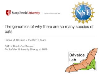 The genomics of why there are so many species of
bats
Liliana M. Dávalos + the Bat1K Team

BAT1K Break-Out Session 

Rockefeller University 29 August 2019

 
