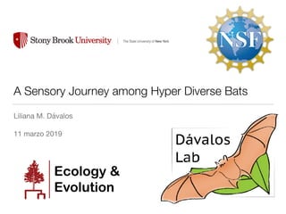 A Sensory Journey among Hyper Diverse Bats
Liliana M. Dávalos

11 marzo 2019
Ecology &
Evolution
 