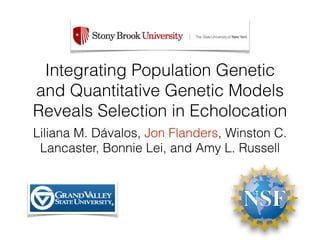Integrating Population Genetic
and Quantitative Genetic Models
Reveals Selection in Echolocation
Liliana M. Dávalos, Jon Flanders, Winston C.
Lancaster, Bonnie Lei, and Amy L. Russell
 