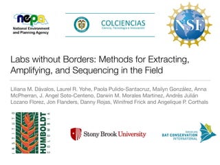 Labs without Borders: Methods for Extracting,
Amplifying, and Sequencing in the Field
Liliana M. Dávalos, Laurel R. Yohe, Paola Pulido-Santacruz, Mailyn González, Anna
McPherran, J. Angel Soto-Centeno, Darwin M. Morales Martinez, Andrés Julián
Lozano Florez, Jon Flanders, Danny Rojas, Winifred Frick and Angelique P. Corthals
 