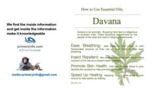 Davana: Trade Technology Project Feasibility