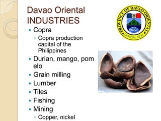 Davao Oriental
INDUSTRIES
   Copra
    ◦ Copra production
      capital of the
      Philippines
   Durian, mango, pom
    elo
   Grain milling
   Lumber
   Tiles
   Fishing
   Mining
    ◦ Copper, nickel
 
