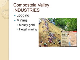 Compostela Valley
INDUSTRIES
 Logging
 Mining
    ◦ Mostly gold
    ◦ Illegal mining
 