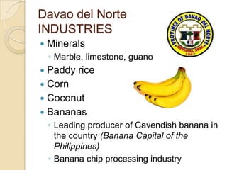 Davao del Norte
INDUSTRIES
   Minerals
    ◦ Marble, limestone, guano
 Paddy rice
 Corn
 Coconut
 Bananas
    ◦ Leading producer of Cavendish banana in
      the country (Banana Capital of the
      Philippines)
    ◦ Banana chip processing industry
 