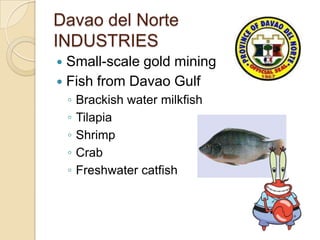 Davao del Norte
INDUSTRIES
 Small-scale gold mining
 Fish from Davao Gulf
    ◦   Brackish water milkfish
    ◦   Tilapia
    ◦   Shrimp
    ◦   Crab
    ◦   Freshwater catfish
 