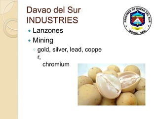 Davao del Sur
INDUSTRIES
 Lanzones
 Mining
    ◦ gold, silver, lead, coppe
      r,
         chromium
 