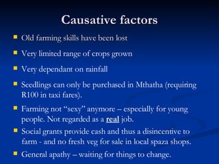 Old farming skills have been lost Causative factors Very limited range of crops grown  Very dependant on rainfall Seedlings can only be purchased in Mthatha (requiring R100 in taxi fares). Farming not “sexy” anymore – especially for young people. Not regarded as a  real  job. Social grants provide cash and thus a disincentive to farm - and no fresh veg for sale in local spaza shops. General apathy – waiting for things to change. 