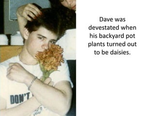Dave was devestated when his backyard pot plants turned out to be daisies.