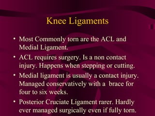 Dave berg sports injuries | PPT