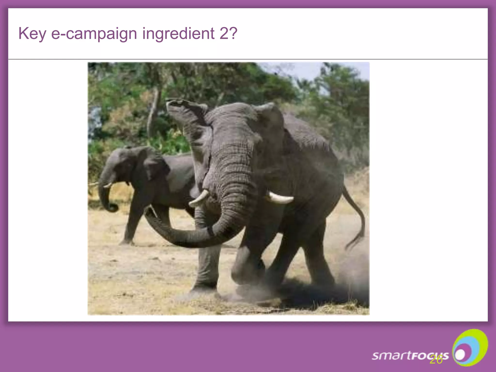 Key campaign ingredient 1?24