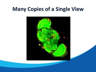 Many Copies of a Single View

 