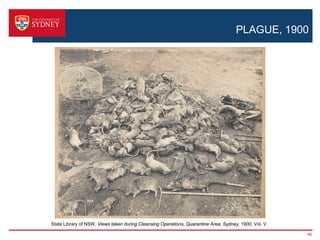 PLAGUE, 1900




State Library of NSW, Views taken during Cleansing Operations, Quarantine Area, Sydney, 1900, Vol. V.

                                                                                                        46
 