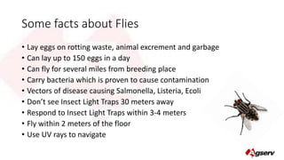 Some facts about Flies 
• Lay eggs on rotting waste, animal excrement and garbage 
• Can lay up to 150 eggs in a day 
• Can fly for several miles from breeding place 
• Carry bacteria which is proven to cause contamination 
• Vectors of disease causing Salmonella, Listeria, Ecoli 
• Don’t see Insect Light Traps 30 meters away 
• Respond to Insect Light Traps within 3-4 meters 
• Fly within 2 meters of the floor 
• Use UV rays to navigate 
 